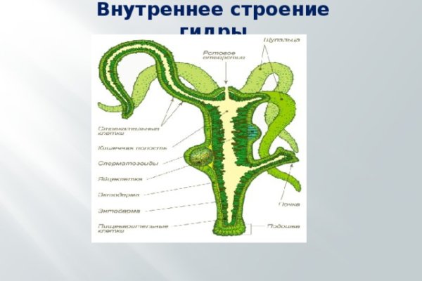 Кракен 2krn