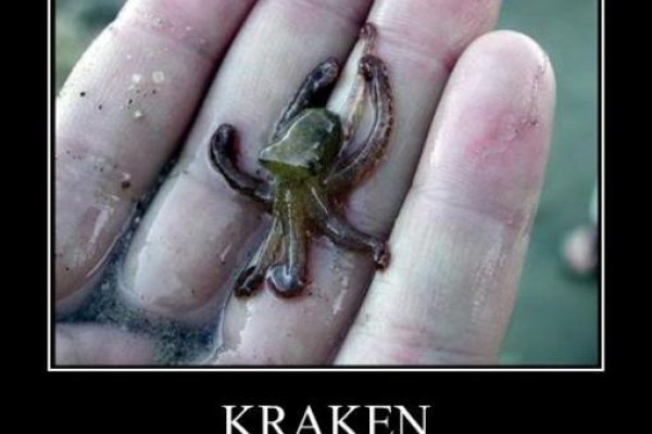 Кракен онион kraken dark link