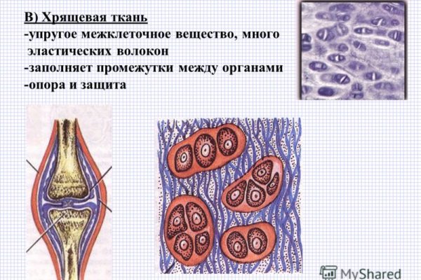 Ссылка на кракен на сегодня